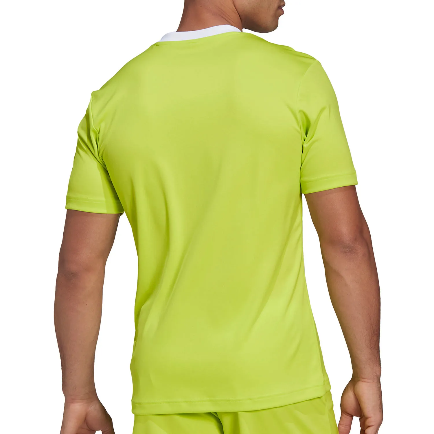 Camiseta adidas Entrada 22